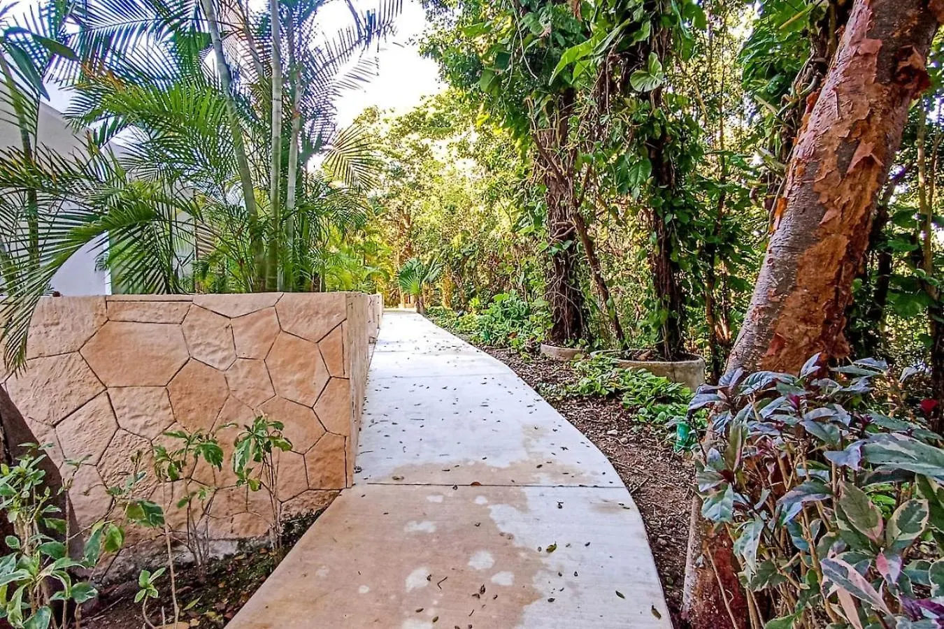 Apartment Quetzal Condos En Bahia Principe Residences